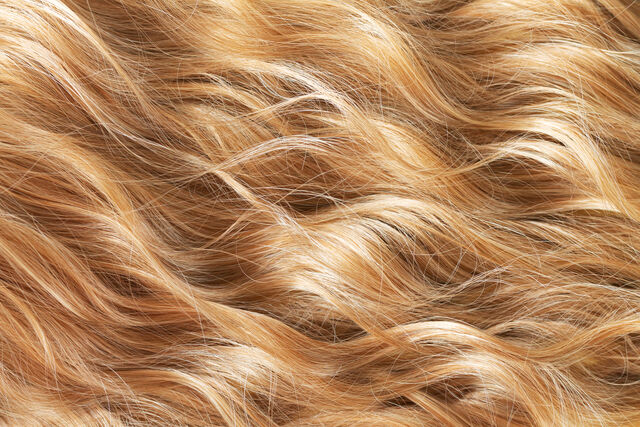 honey blond haar